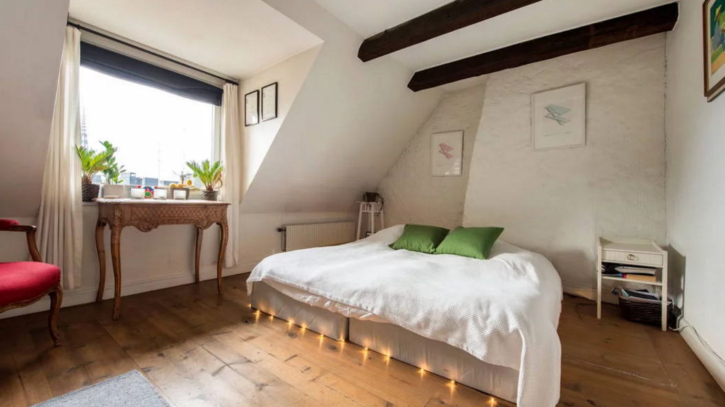 Tech Farm - Hus24 image 4