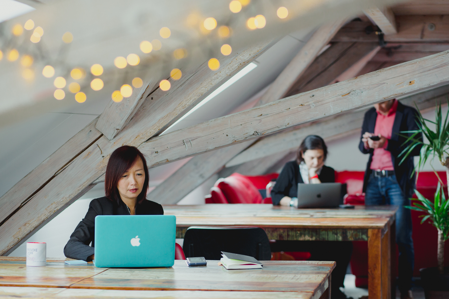 Human Valley image 4