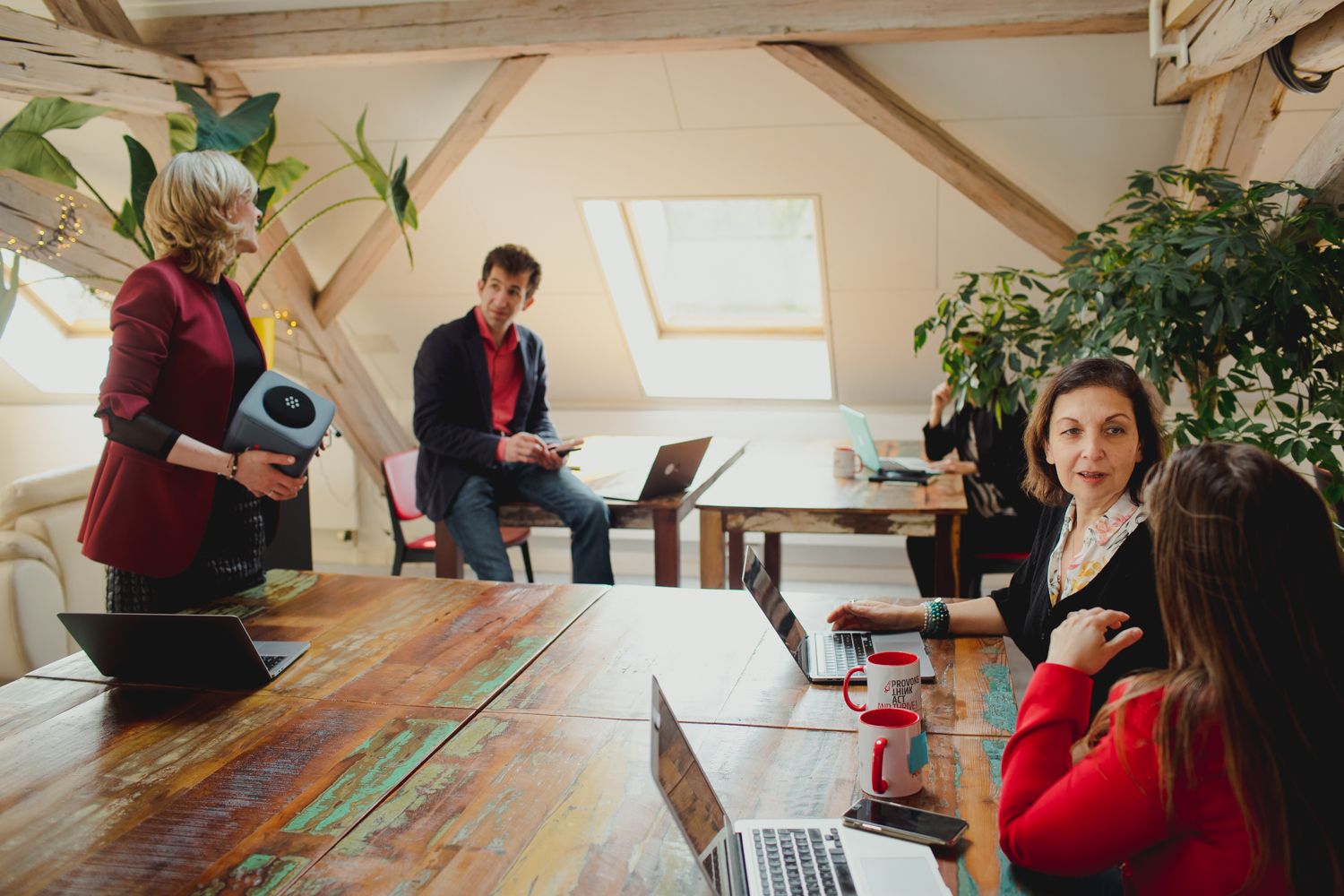 Human Valley image 5