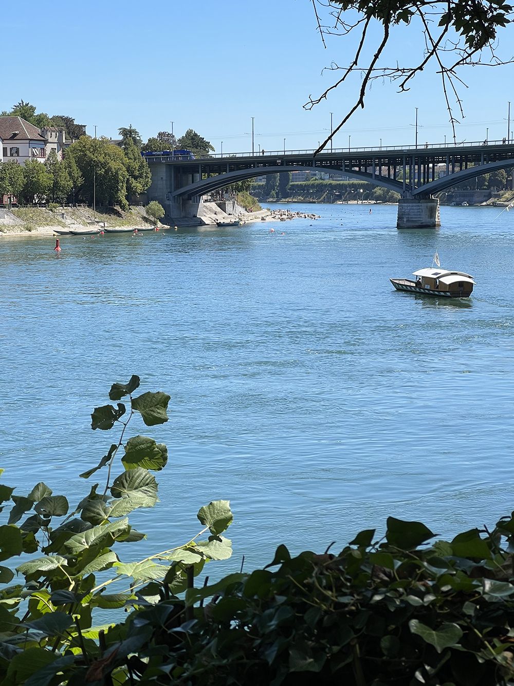 Die Redaktion image 5