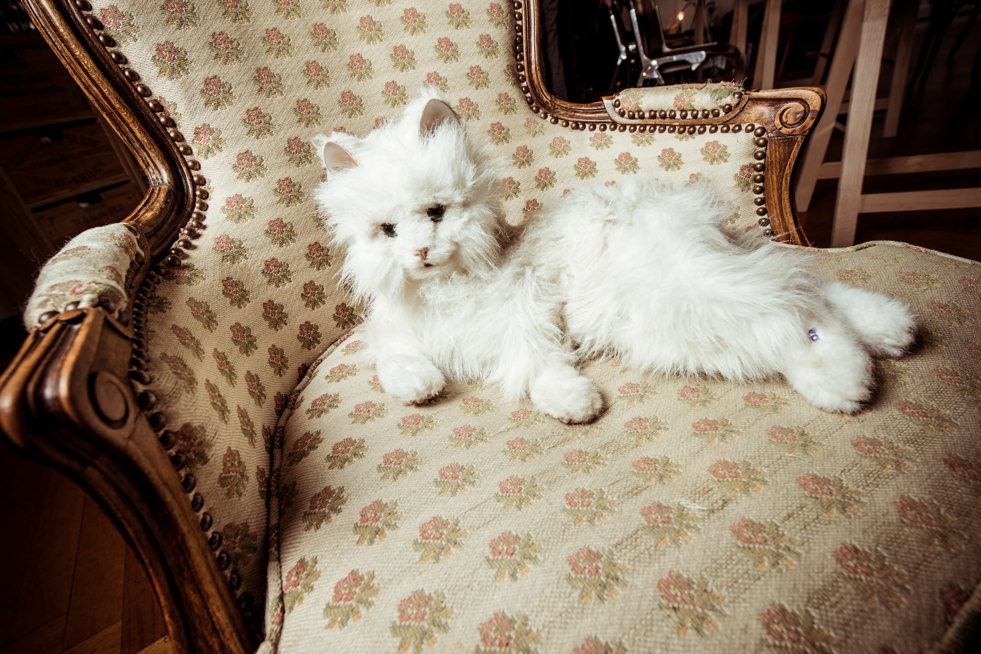 Der Hauptsitz image 4