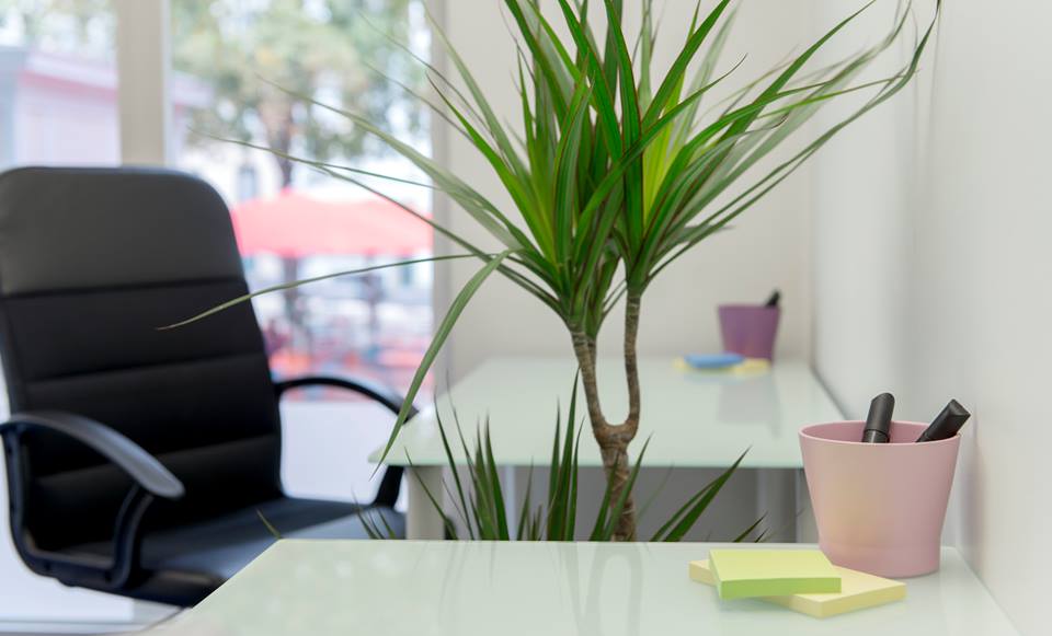 Calliopee Business Center image 4