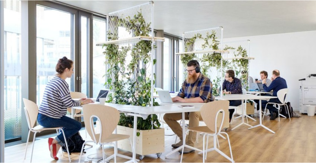 La Serre Coworking image 4