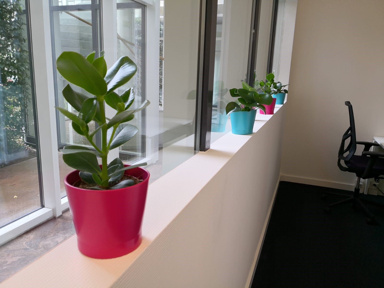 WTC Coworking image 4