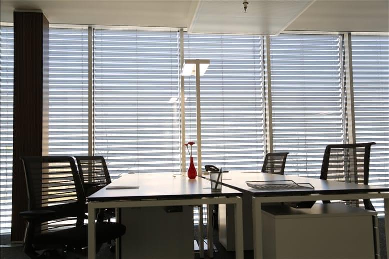 Ichibani Sàrl image 5