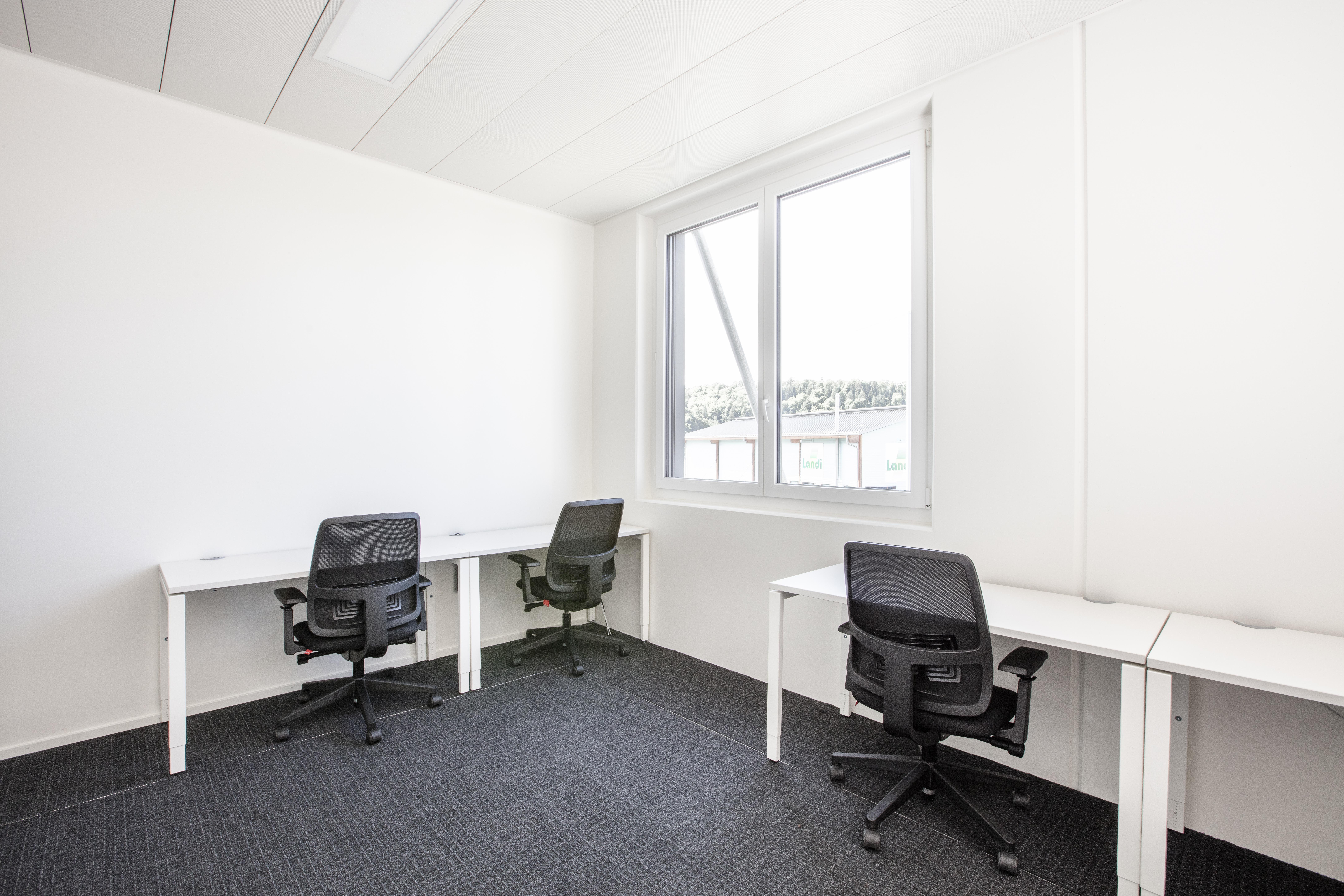Regus - Schaffhausen, Lipo Park image 3