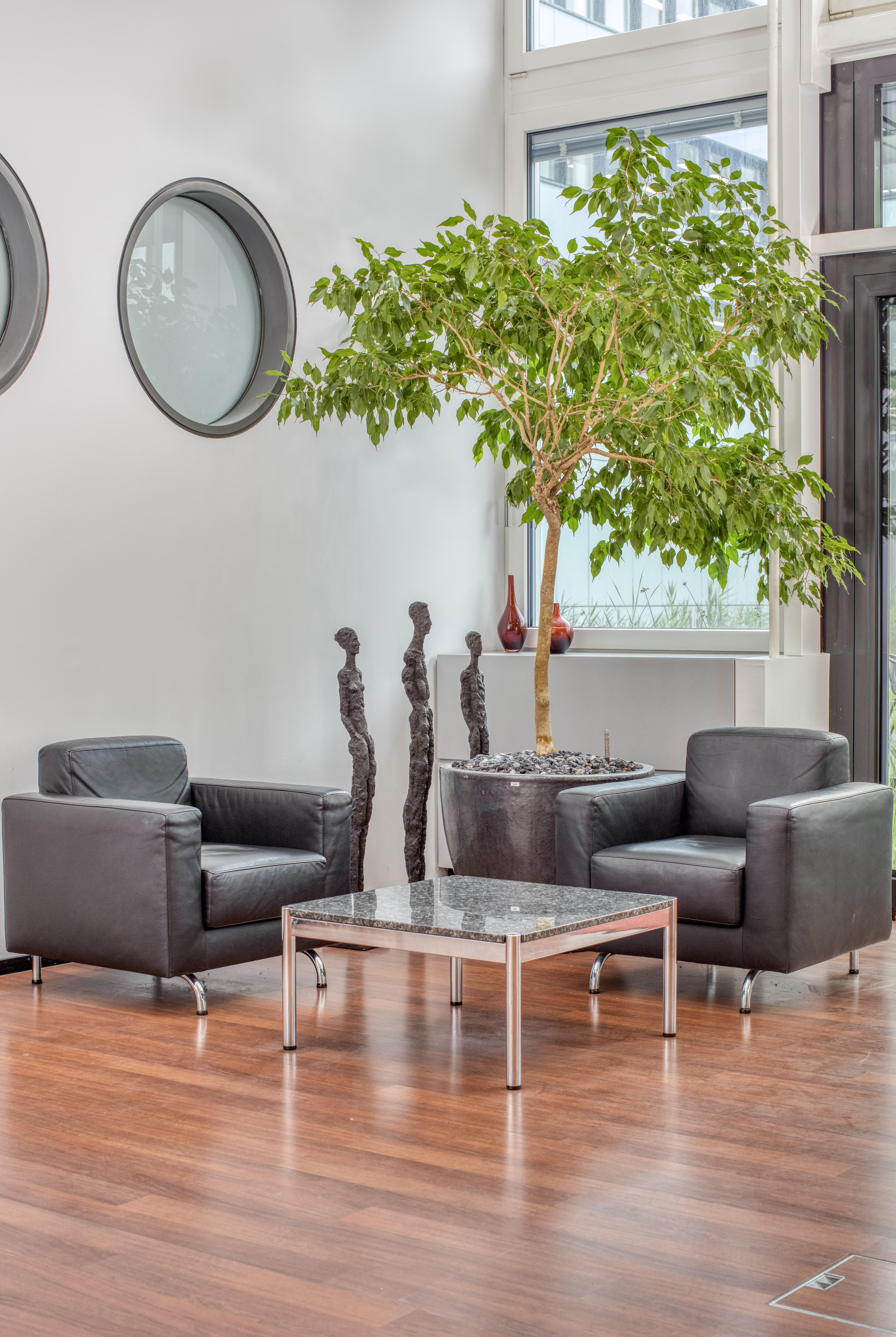 Regus - Zug, Dammstrasse image 5