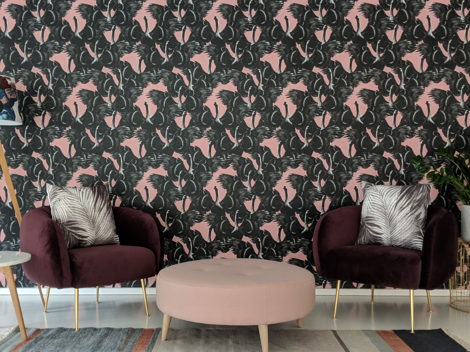 Birdhaus Social GmbH image 5