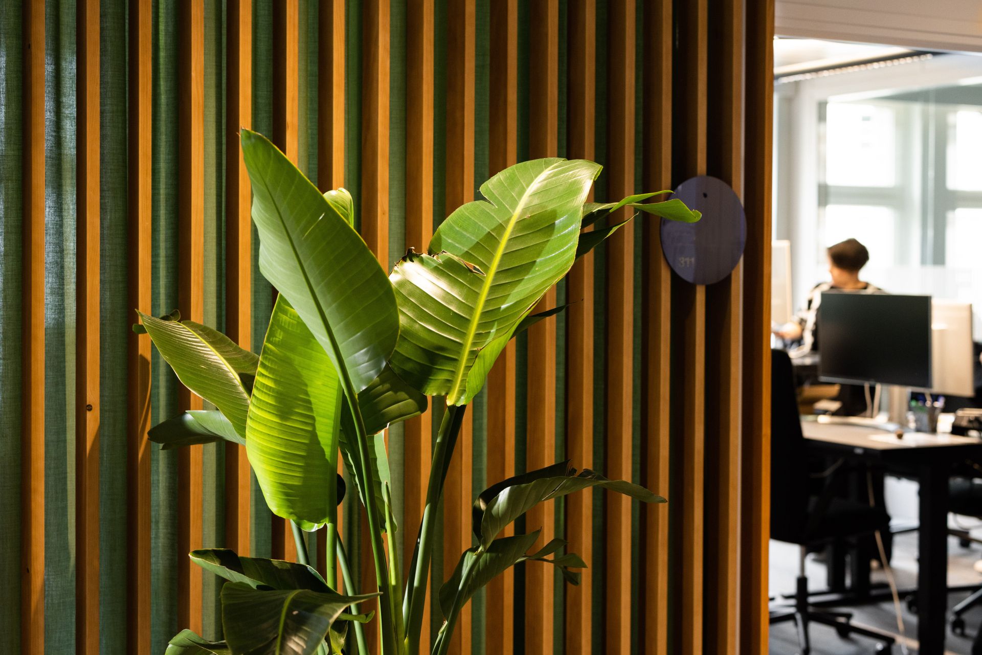 HeadsQuarter - The Historic image 5