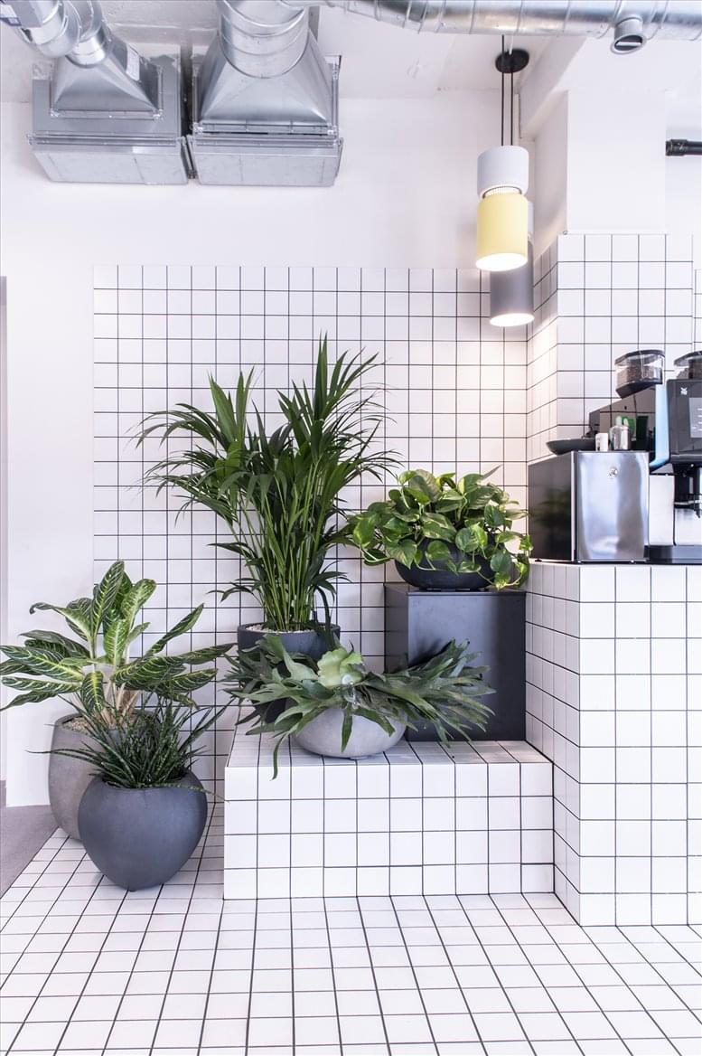 HeadsQuarter – The Urban image 4