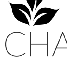 Ooh Cha Cha Tech profile image