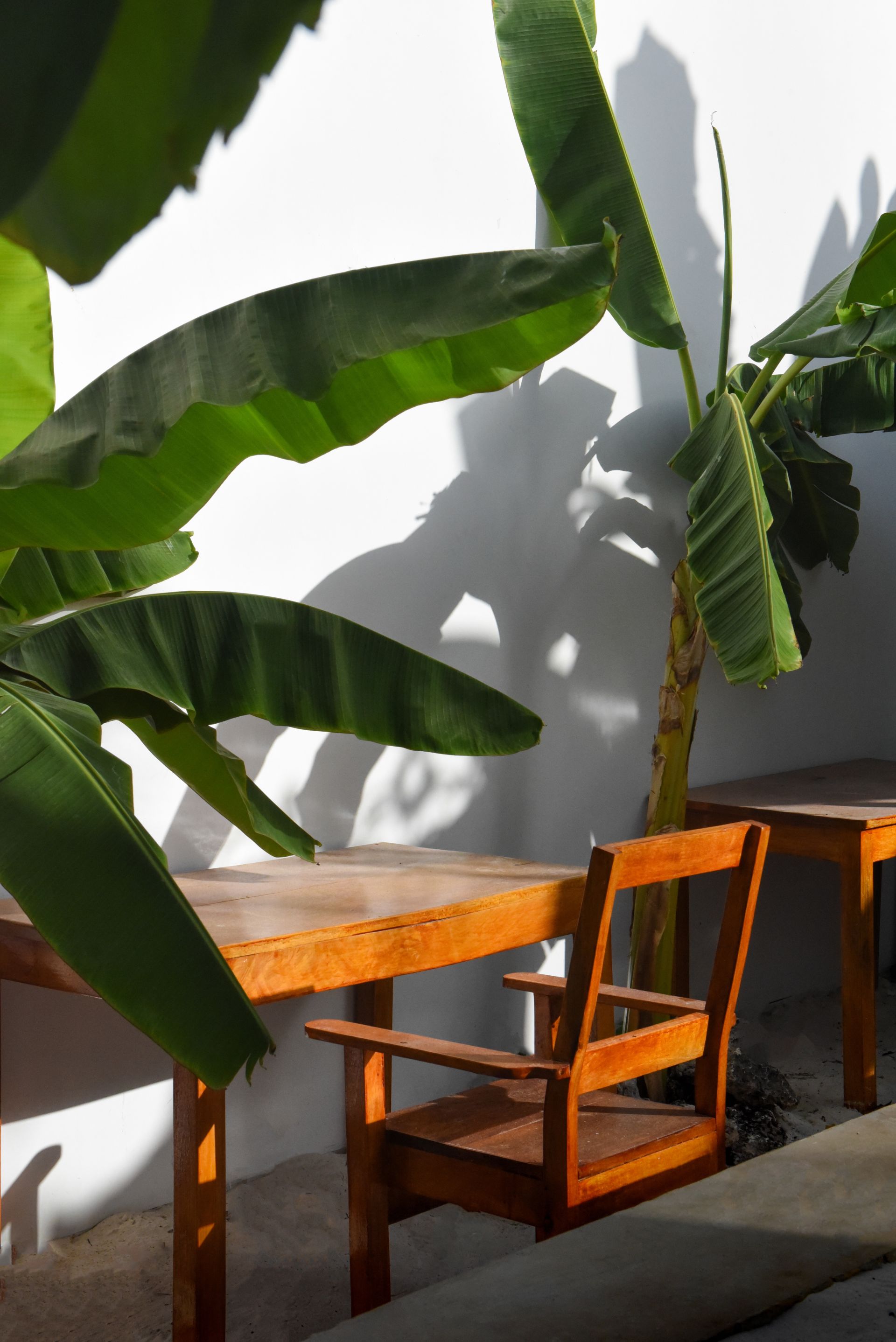 Dar Mar Zanzibar image 4