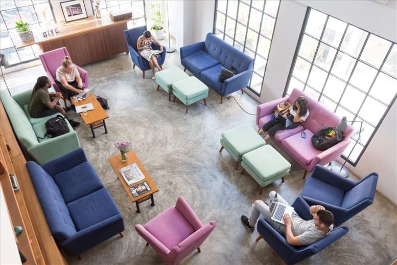 The Hive Worldwide image 5