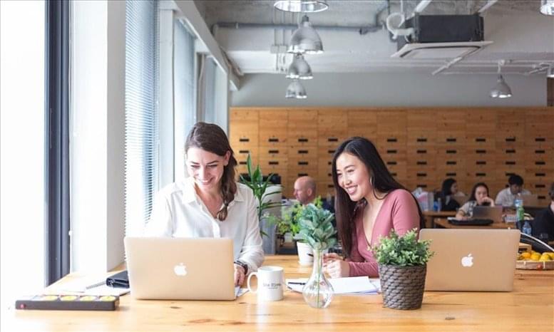 The Hive Worldwide image 4