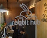 The Rabbit Hub image 4