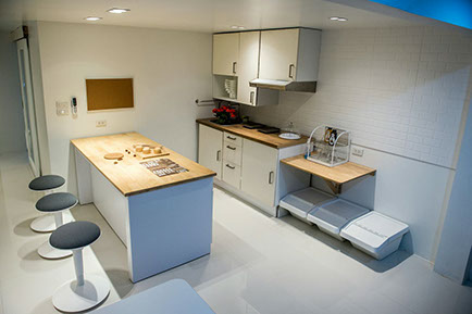 Elephant Cowork image 3