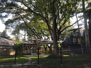 The Hub Chiang Mai image 3