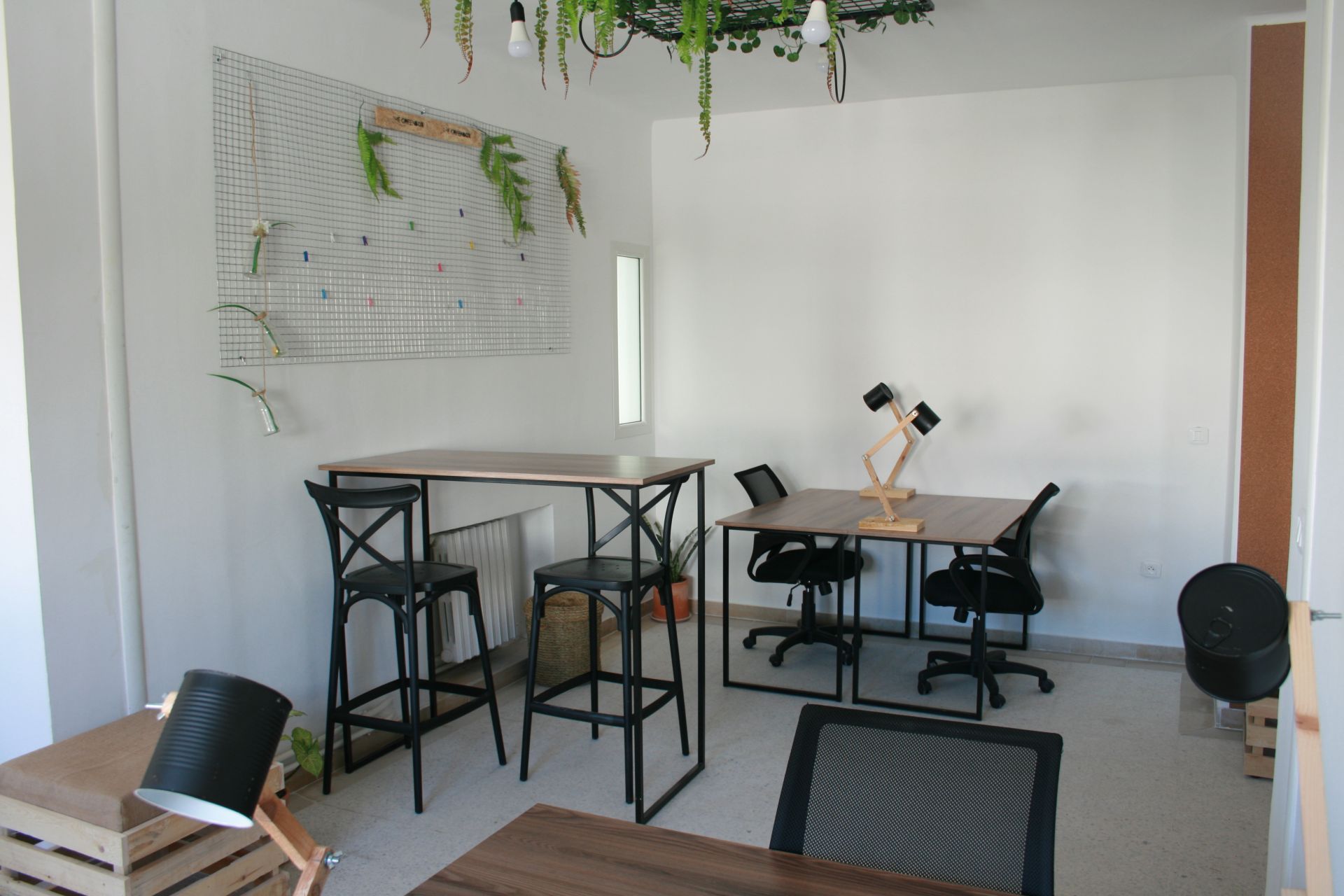 The Green Box image 4