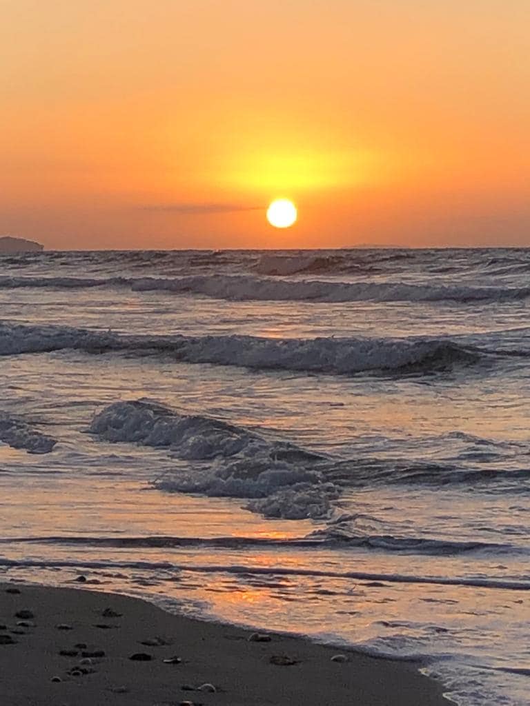 nomaDESKape | A rural Coliving | Tunisia image 5