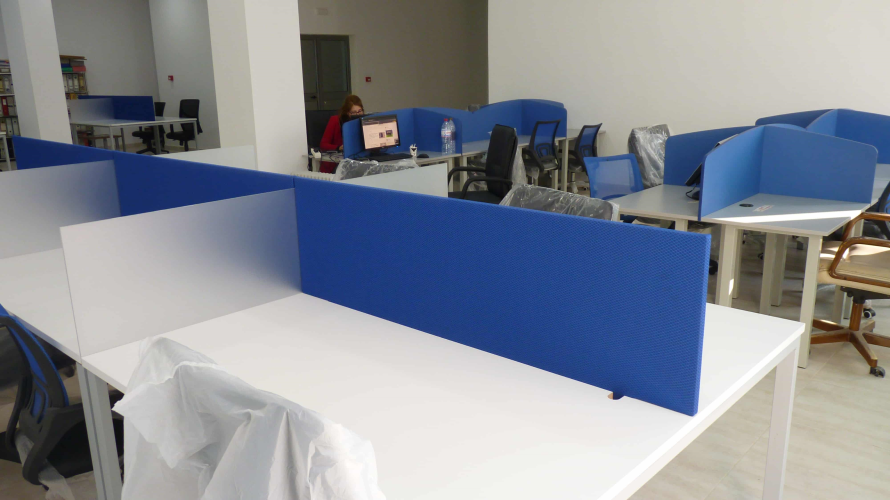 Fares Ben Amor image 2