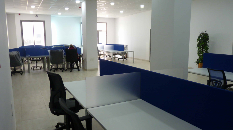 Fares Ben Amor image 5