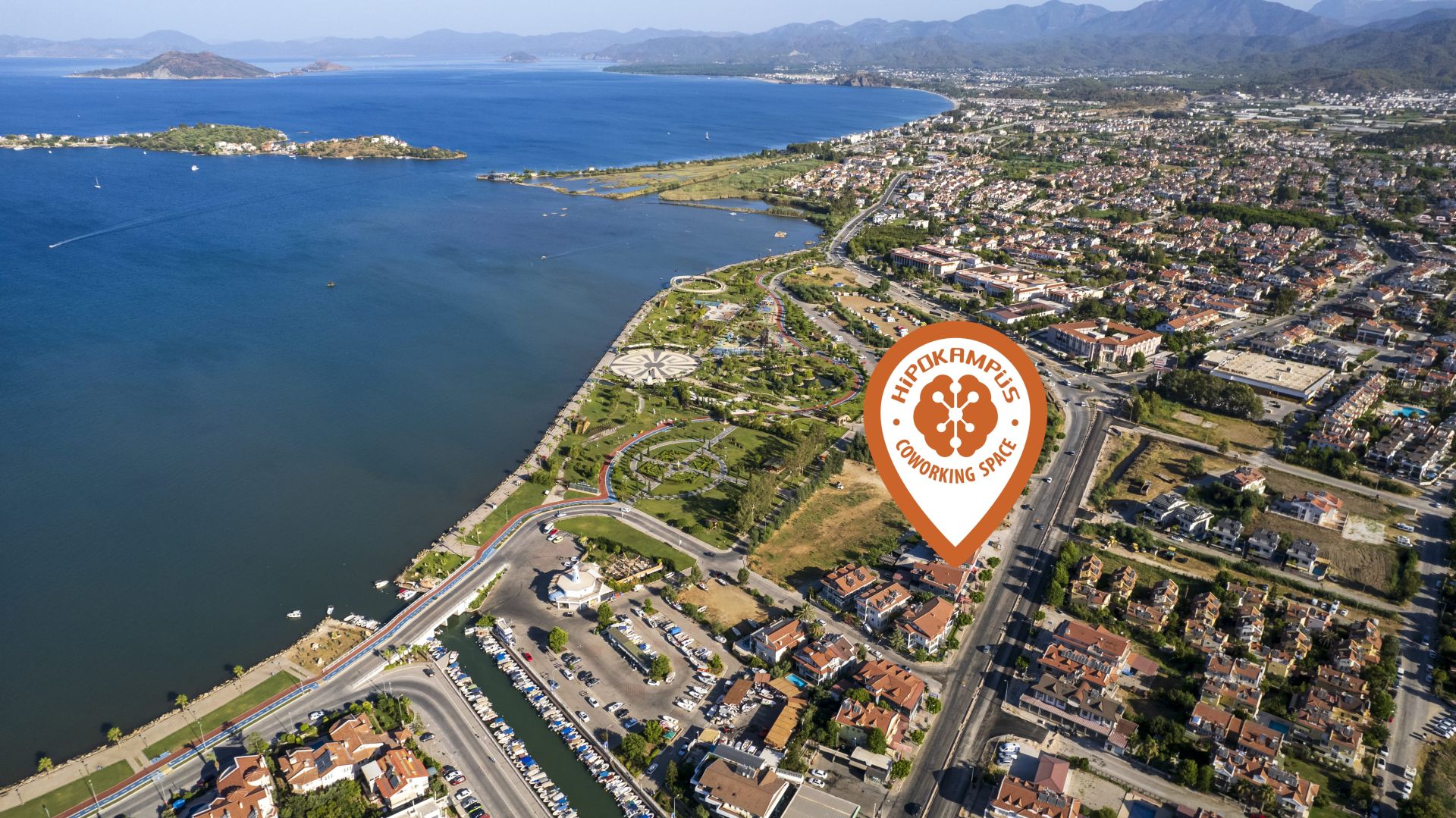 Hipokampus Coworking Space image 3