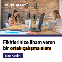 The Hatchery image 5