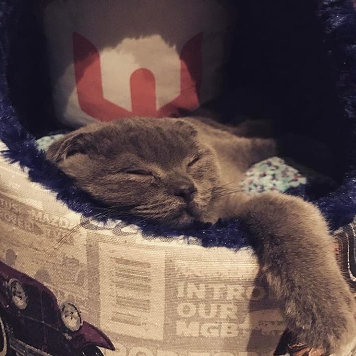 Webtures Dijital Bilişim A.Ş. image 5