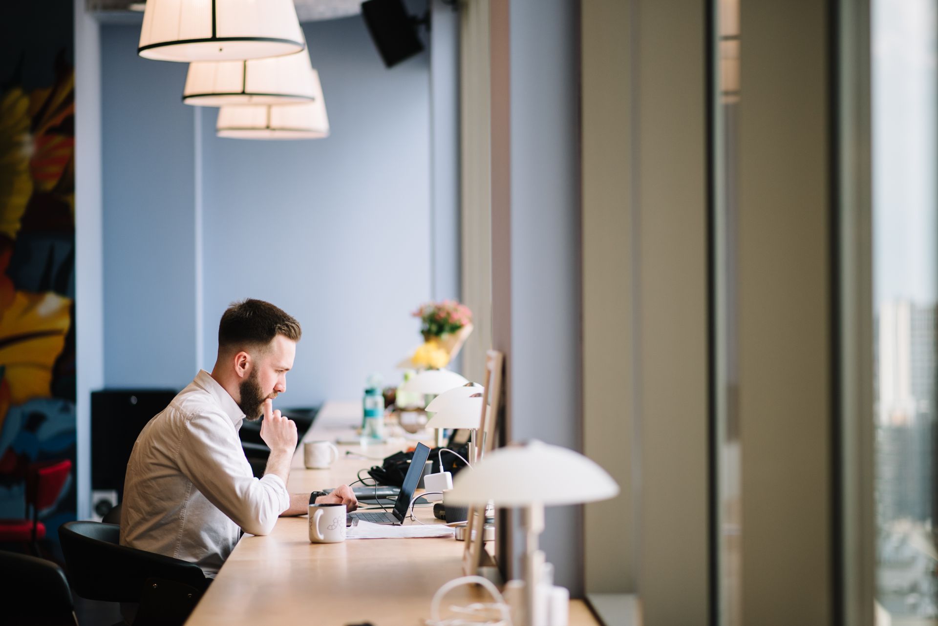 Creative State of Senator image 2