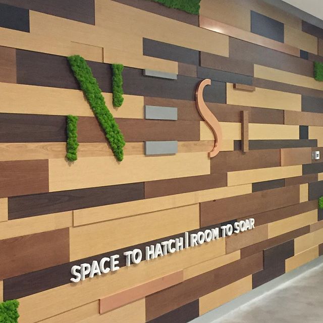 NEST Dubai, Dubai Read Reviews & Book Online