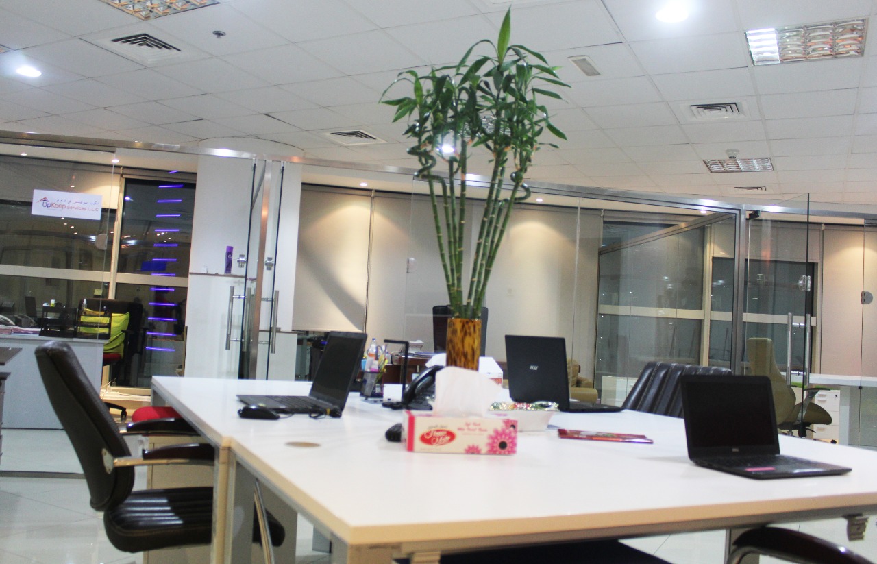 SIERRA CARTEL DXB image 4