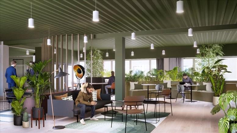 X+Why Limited  image 4