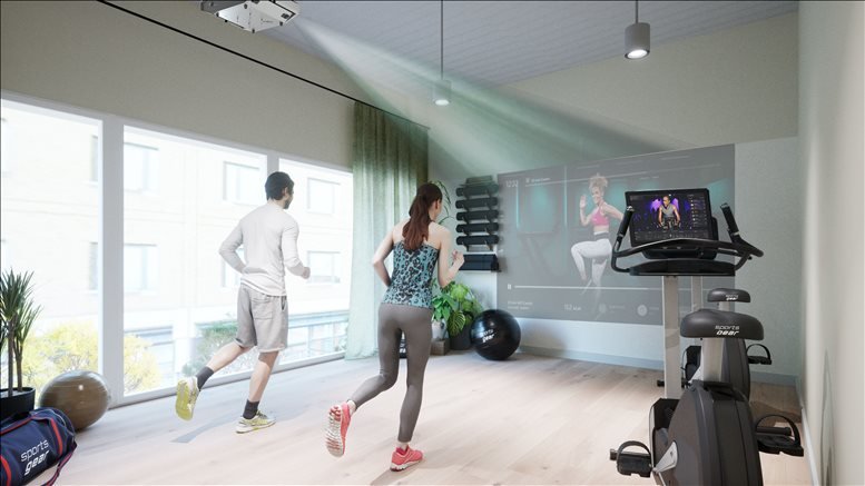 X+Why Limited  image 3