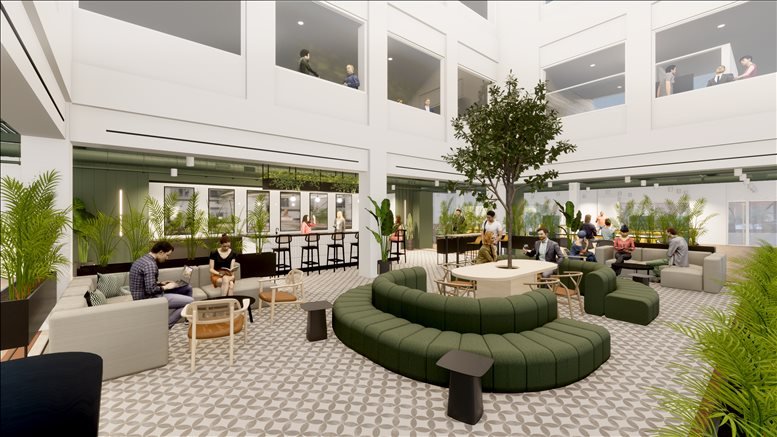 X+Why Limited  image 5