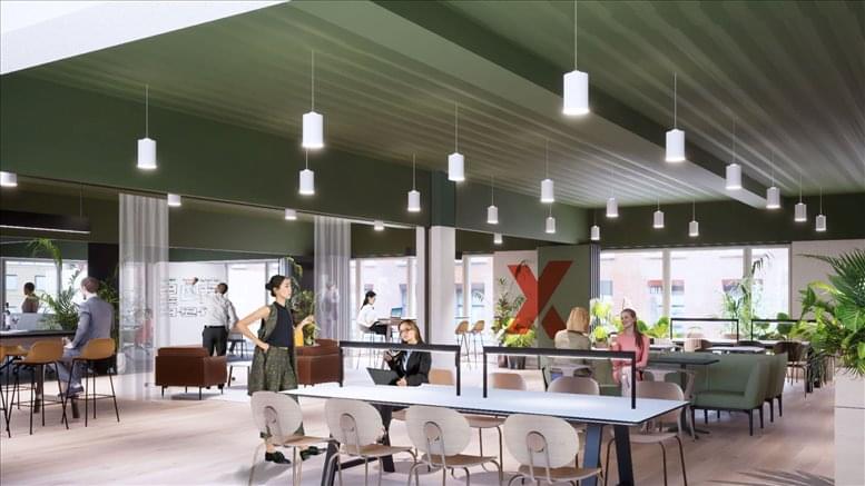 X+Why Limited  image 1