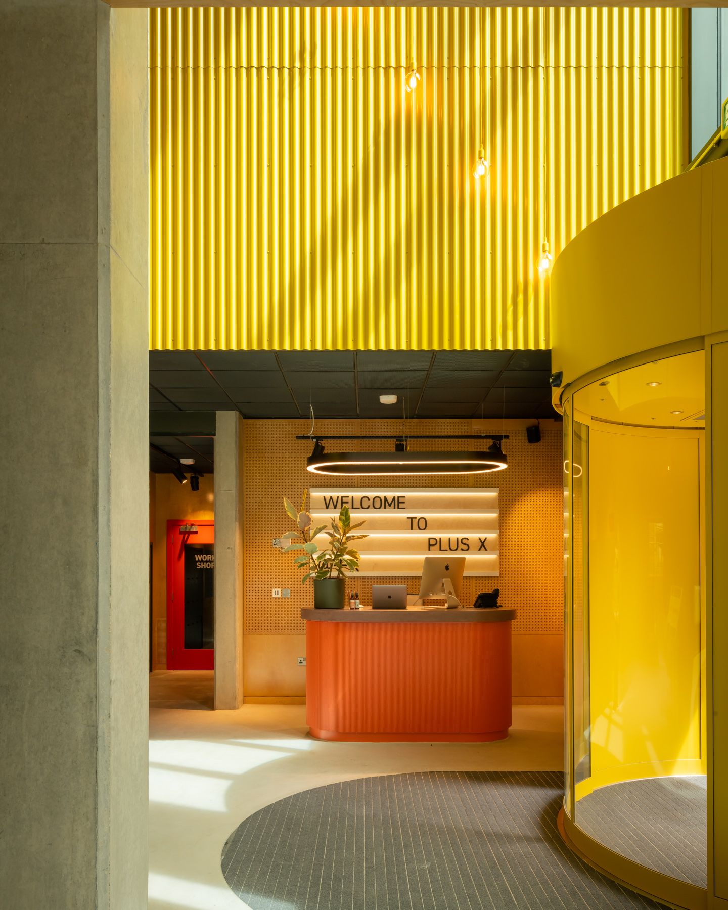 Plus X Brighton image 4