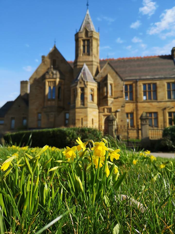 The Landmark image 4