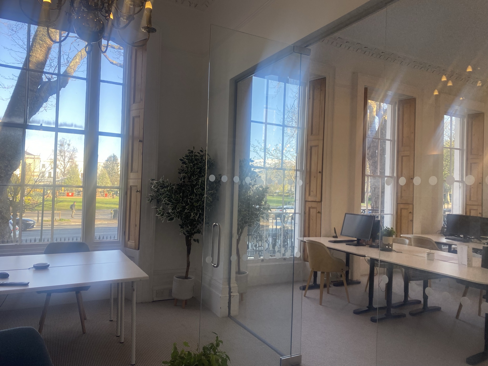 Curious at 121 image 2