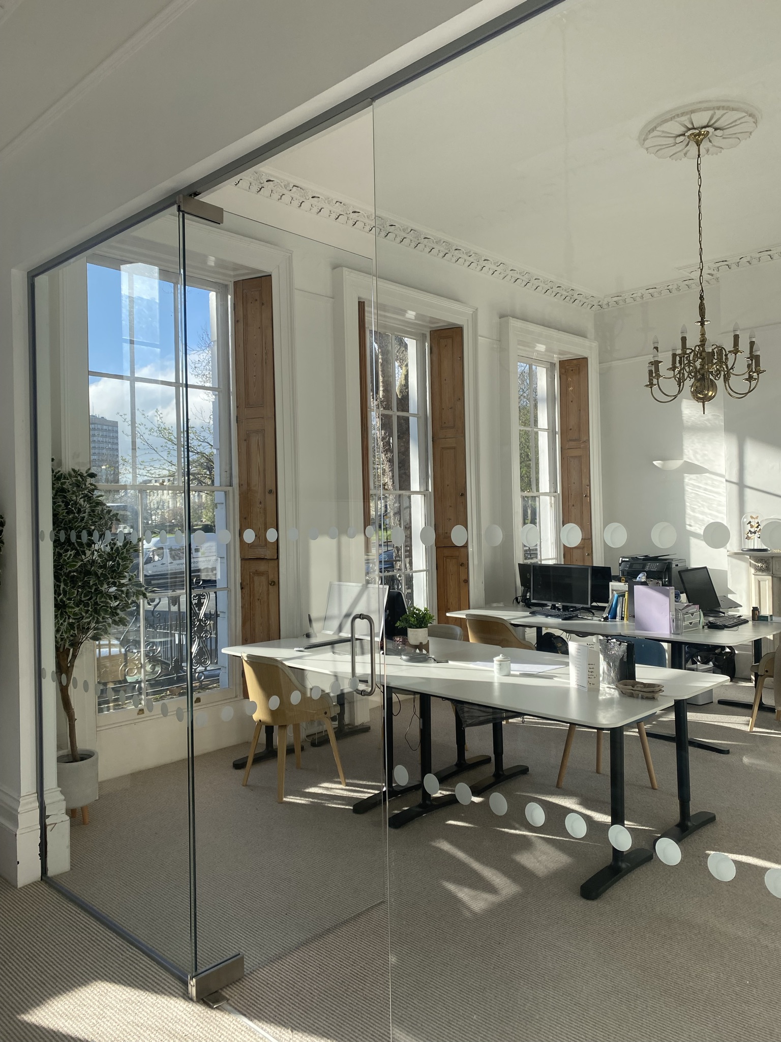 Curious at 121 image 4