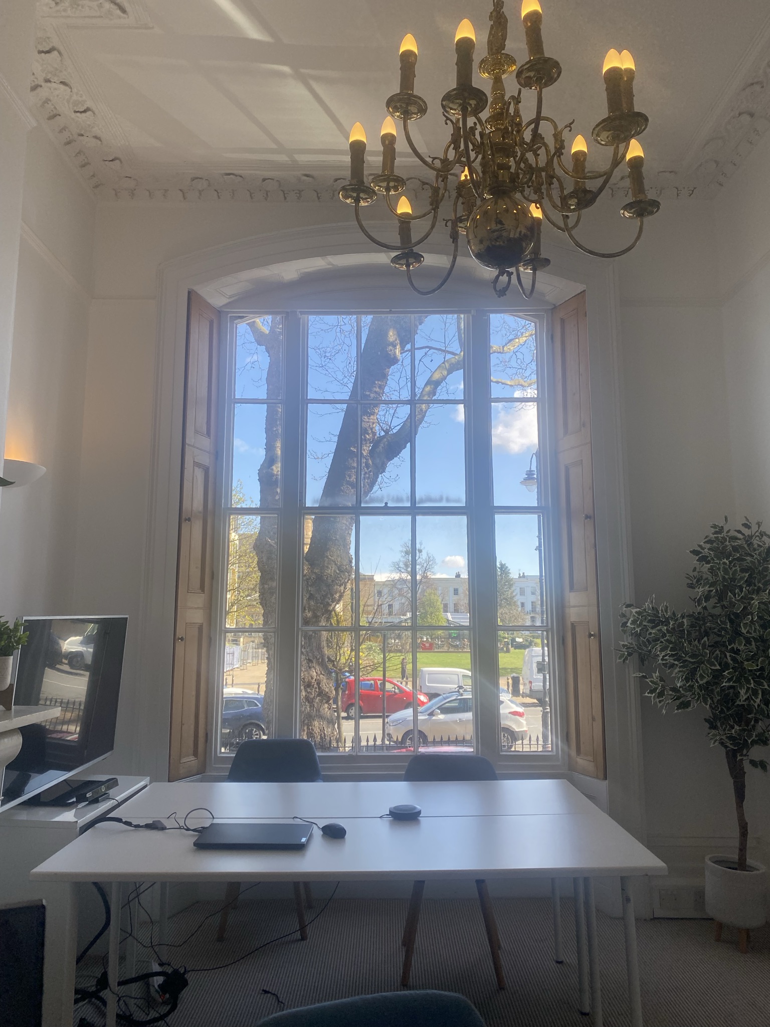 Curious at 121 image 3