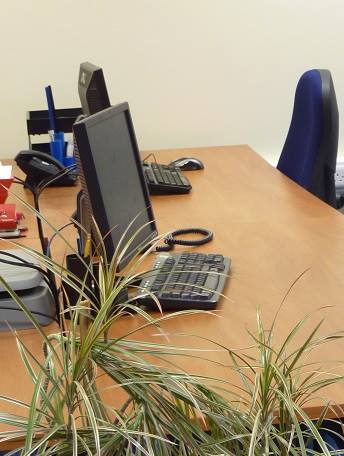 Pynes Hill Pod image 5