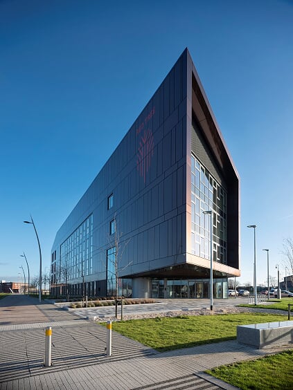 Red Tree Magenta image 4