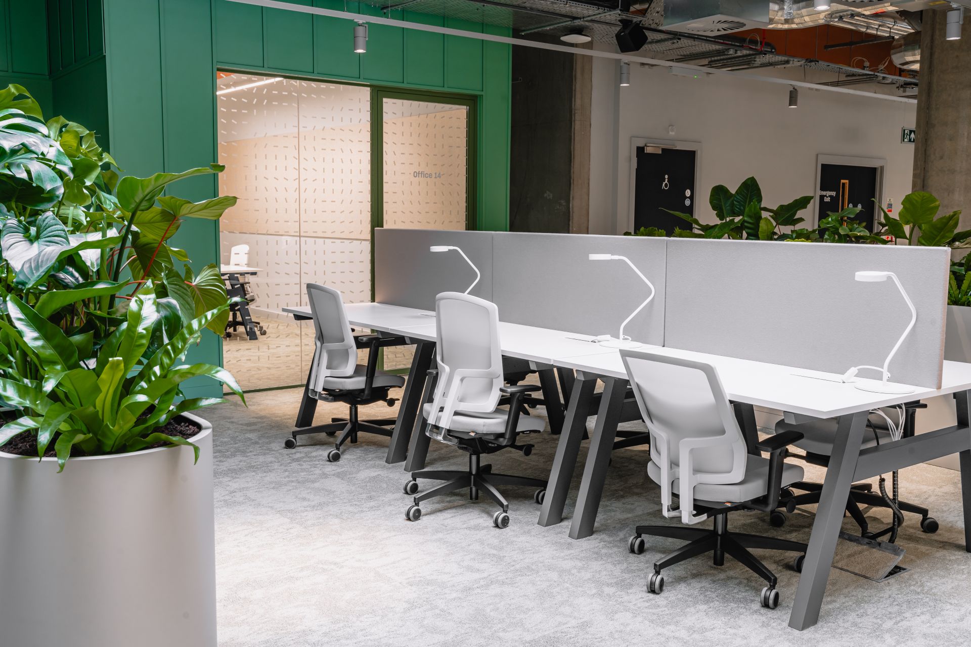 The Social Hub Glasgow image 4