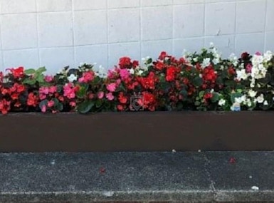 Sanderson Centre for Business & Storage image 5