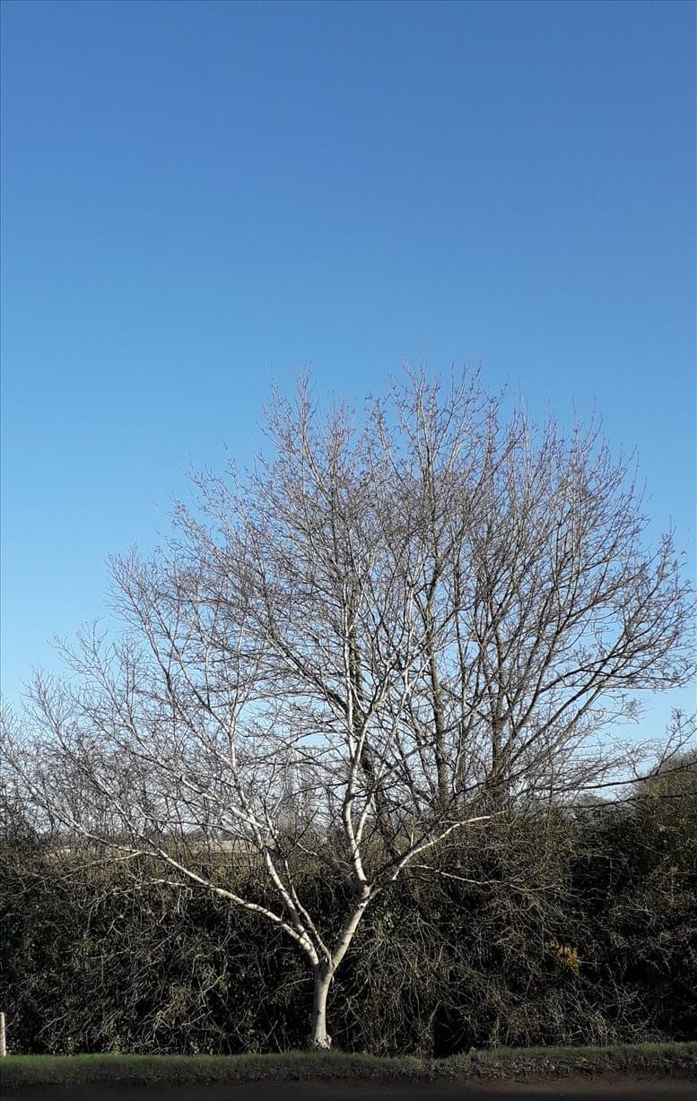 Dynamics Building Services Limited image 4