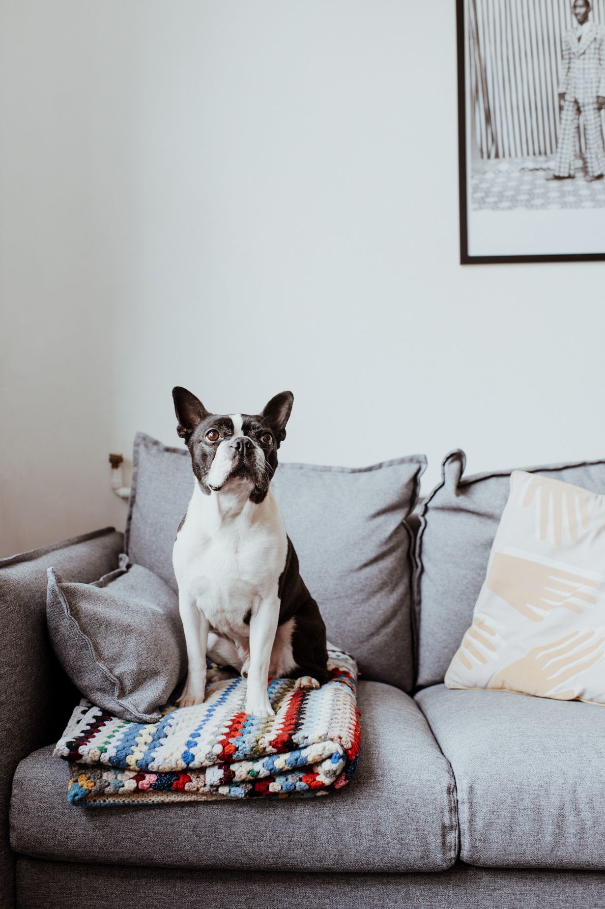 Hastings Commons - Rock House image 3