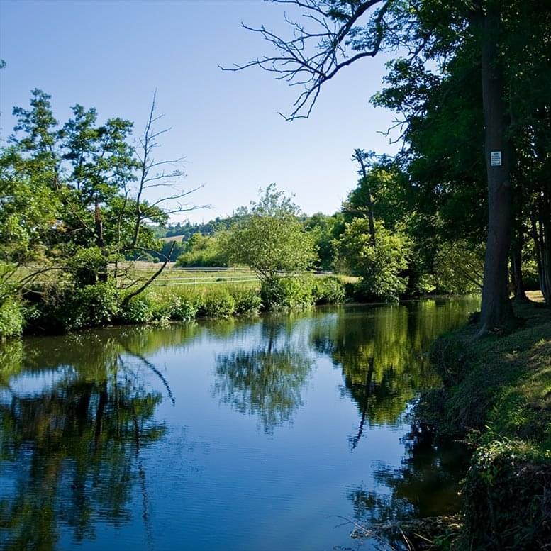 Halcyon Offices image 4