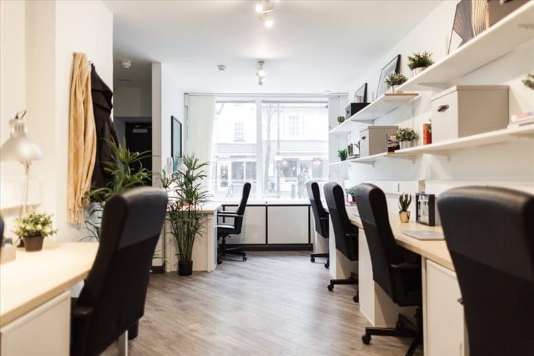 The Collective image 3