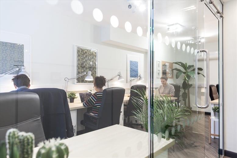 The Collective image 5