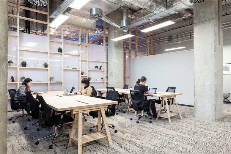 The Collective image 4